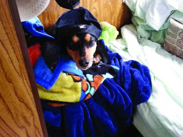 May Long Weekend Camping