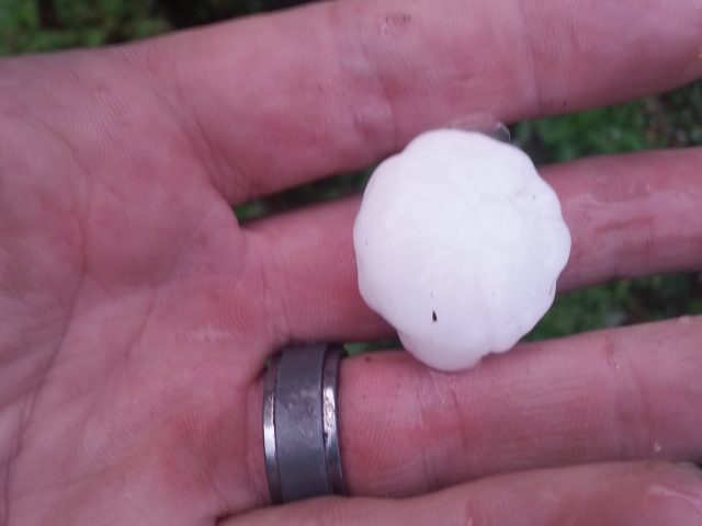 Camping – August Long